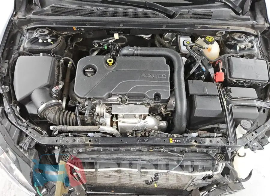 1G1ZD5ST5NF158198 Photo# 11