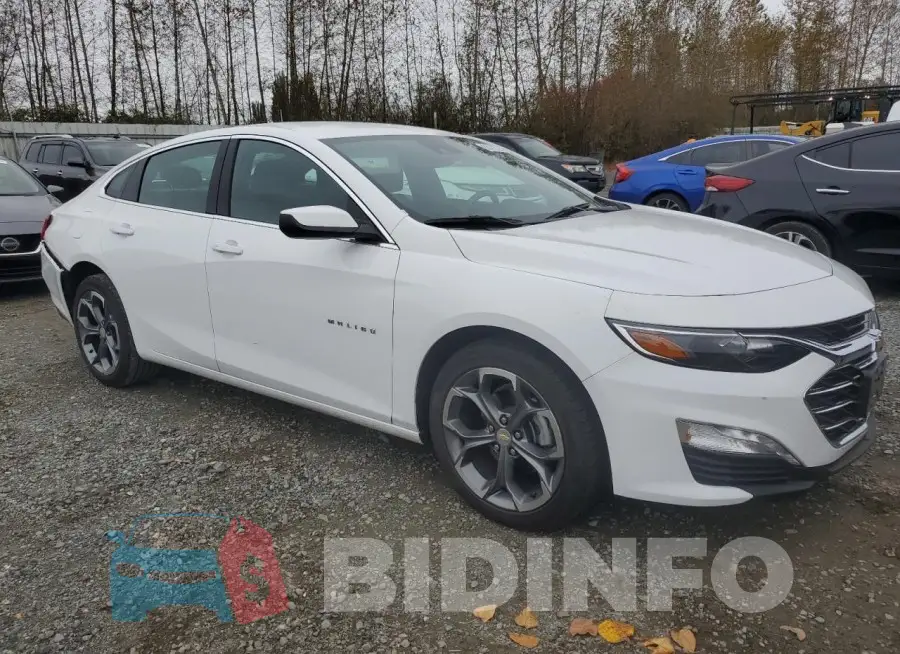 1G1ZD5ST5RF168266 Photo# 4