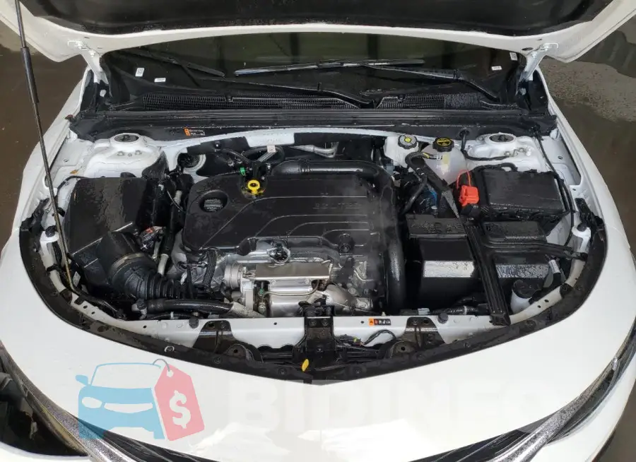 1G1ZD5ST5RF202190 Photo# 11