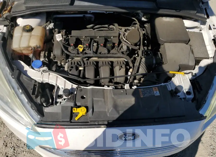 1FADP3N23FL221954 Photo# 11