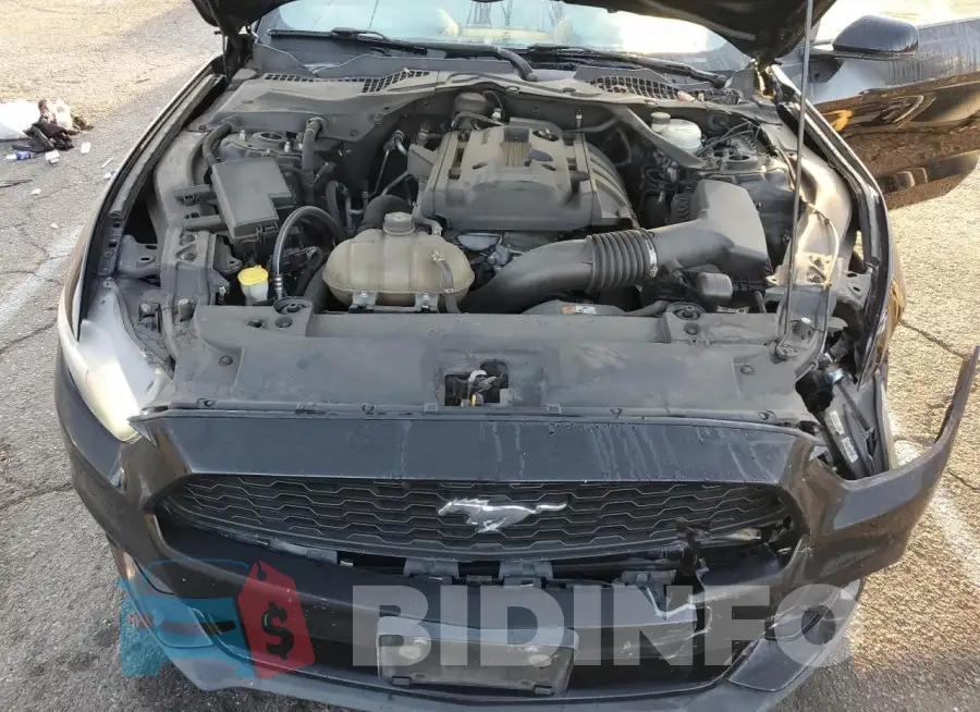 1FATP8UH1H5205113 Photo# 11