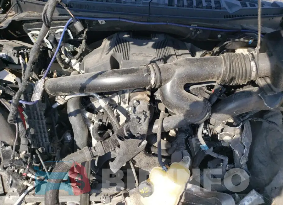 1FTEW1E48LFA63841 Photo# 11