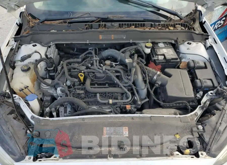3FA6P0HD1KR247131 Photo# 11