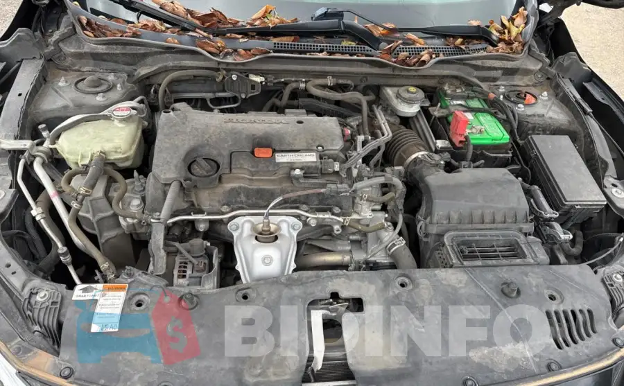 19XFC2F77HE019164 Photo# 7