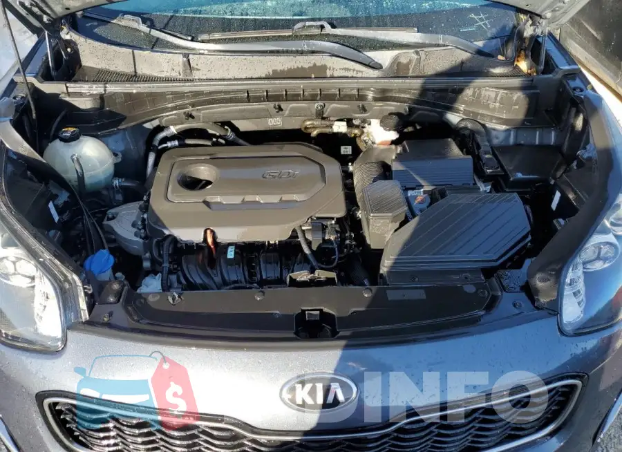 KNDPN3AC4K7618278 Photo# 12