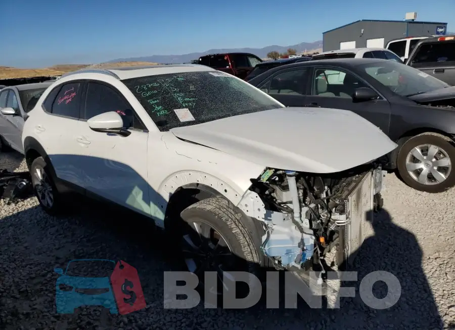 3MVDMBCL0NM447583 Photo# 4