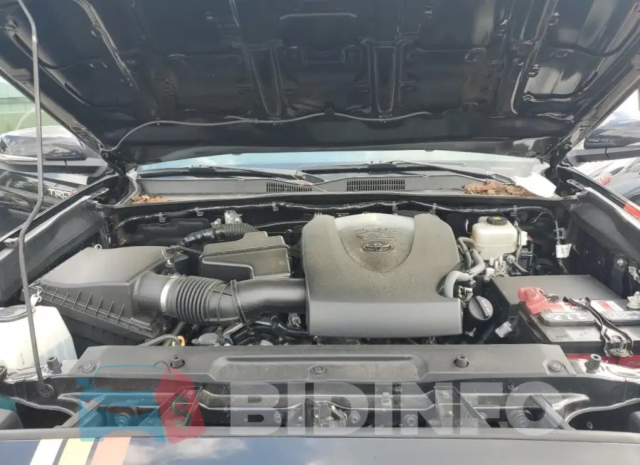 3TMCZ5AN2LM294304 Photo# 11