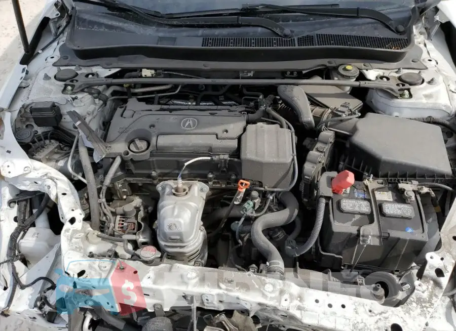 19UUB1F35JA010748 Photo# 11