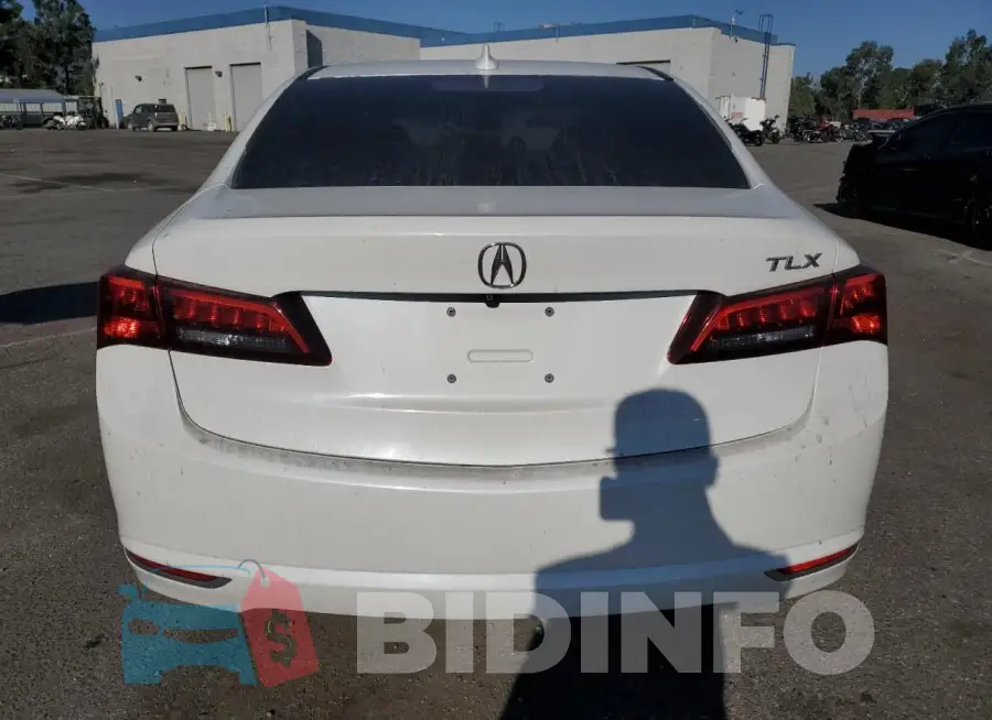 19UUB1F56FA004787 Photo# 6