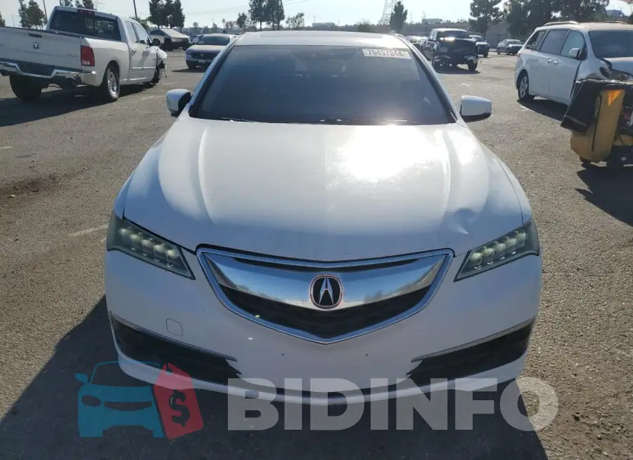 19UUB1F56FA004787 Photo# 5