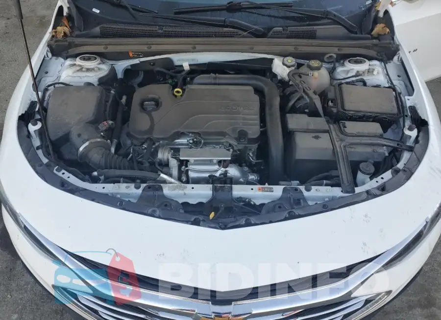 1G1ZD5ST5PF178471 Photo# 11
