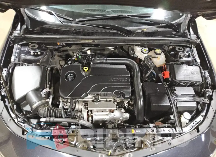 1G1ZD5ST9PF244228 Photo# 11