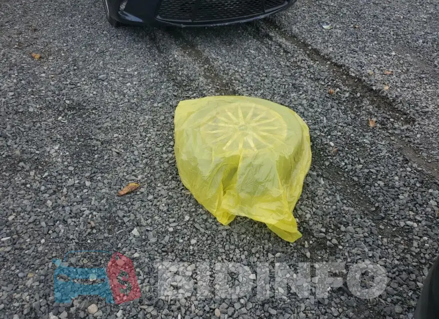 1FADP5CU7FL118648 Photo# 13