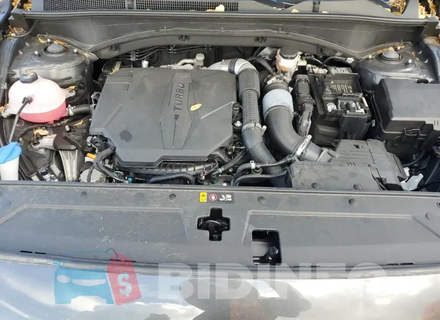 5NMS44ALXPH533240 Photo# 12