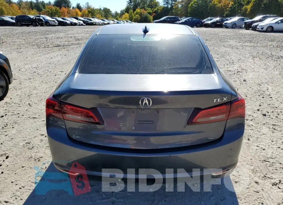 19UUB1F56FA024084 Photo# 6