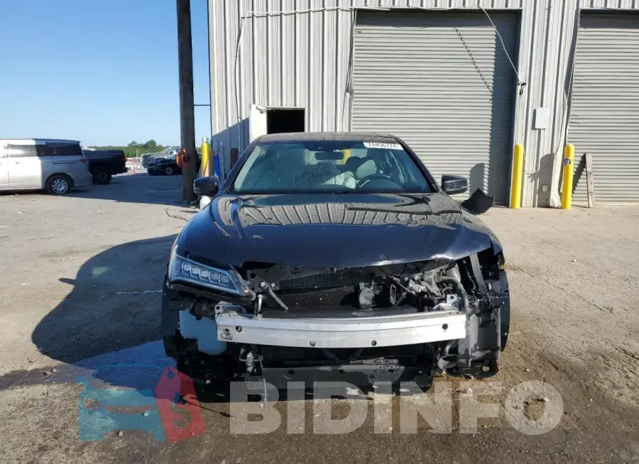 19UUB2F51FA013080 Photo# 5