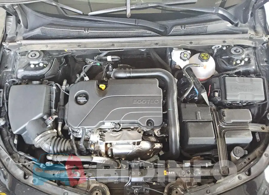 1G1ZD5ST1RF161640 Photo# 11