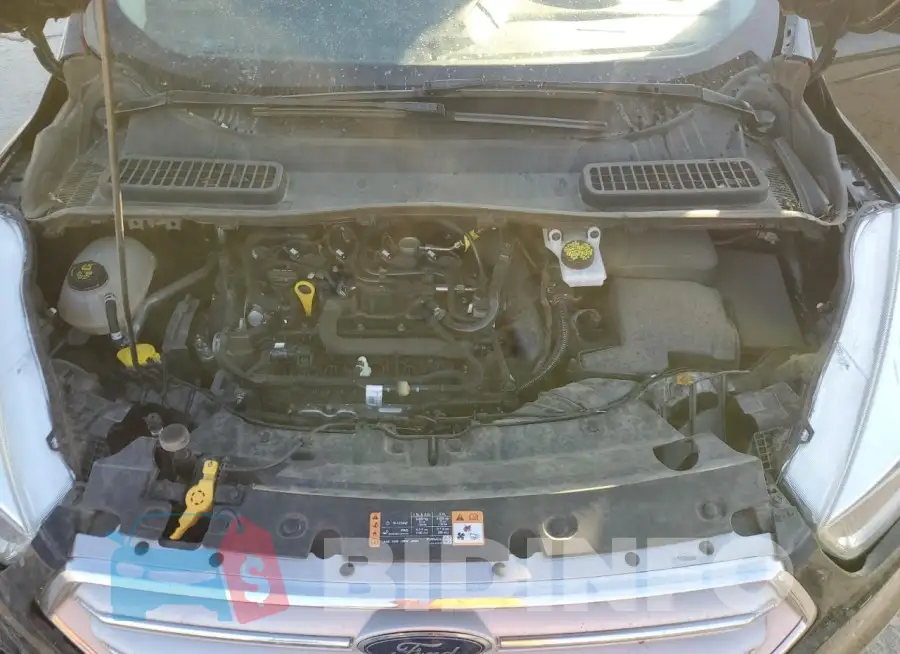 1FMCU0GD9KUB32885 Photo# 12