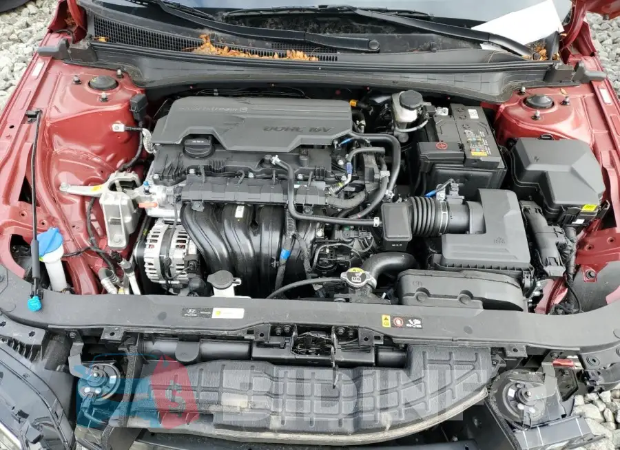 KMHLM4DG9RU731477 Photo# 11