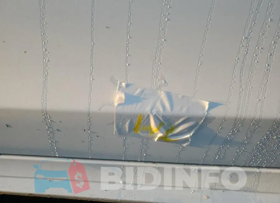 WDDWJ4JB8JF751446 Photo# 12