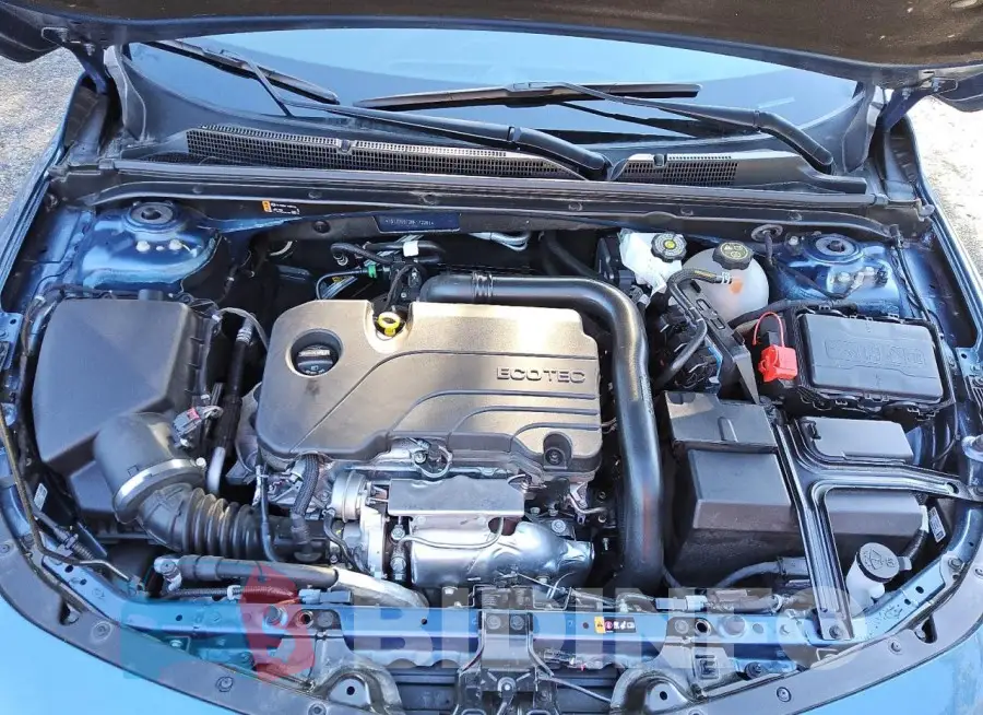 1G1ZD5ST2RF172291 Photo# 11