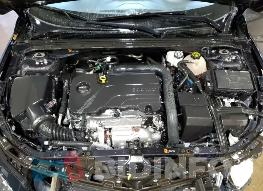 1G1ZD5STXPF185027 Photo# 11