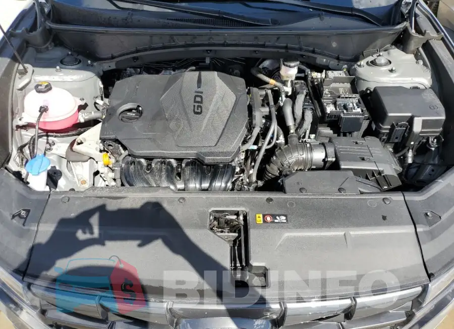 5NMJF3DE4RH336063 Photo# 12