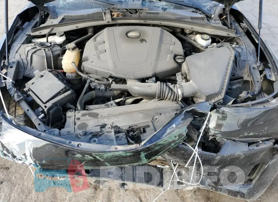 1G1FB1RS1K0104524 Photo# 11