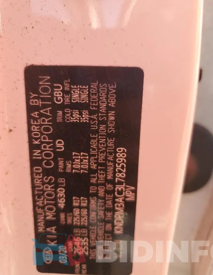 KNDPM3AC3L7825989 Photo# 13