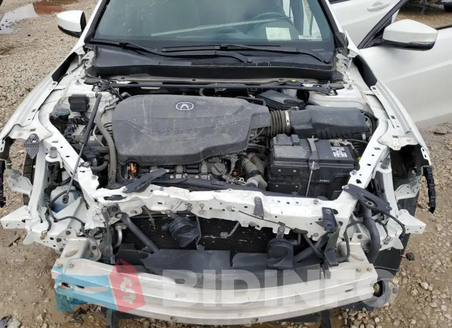 19UUB2F67JA013117 Photo# 11