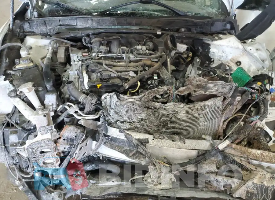 1N4AA6CV8MC510036 Photo# 11