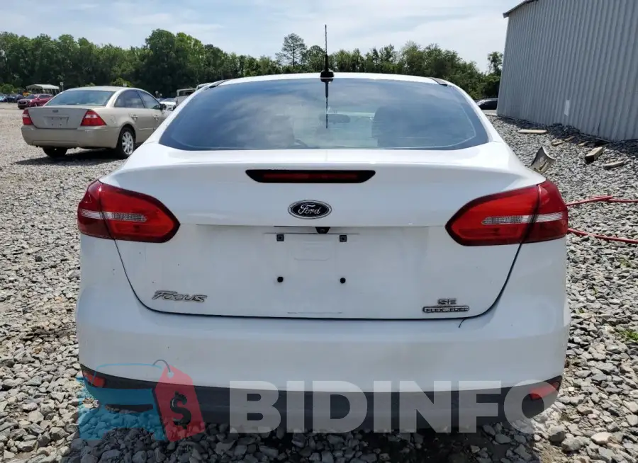 1FADP3F25GL266409 Photo# 6