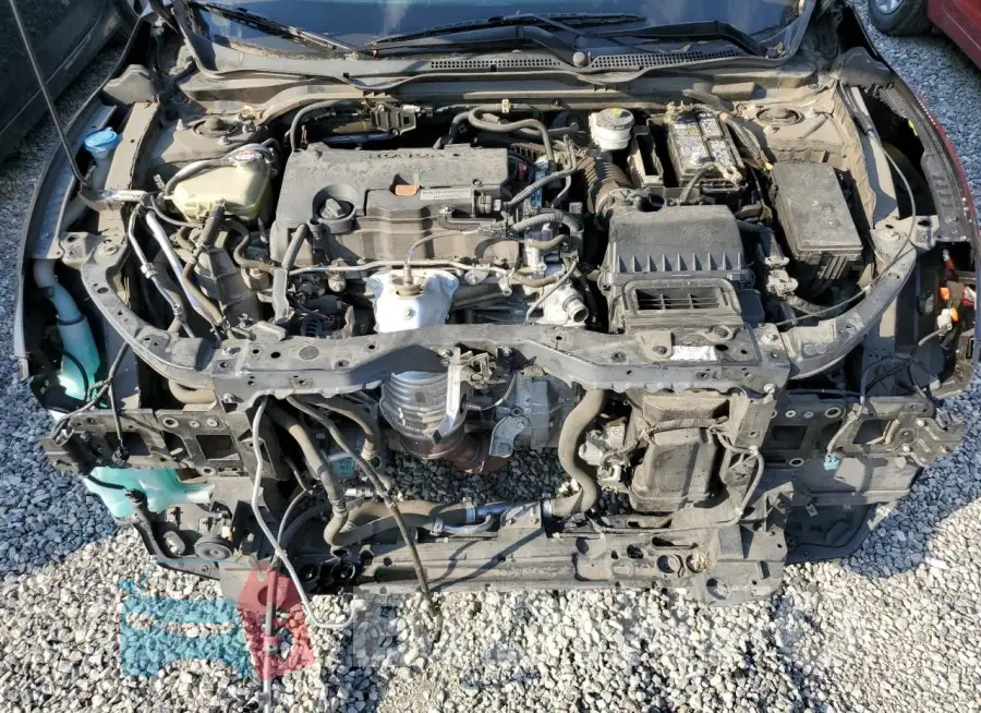 2HGFC2F56HH514704 Photo# 11