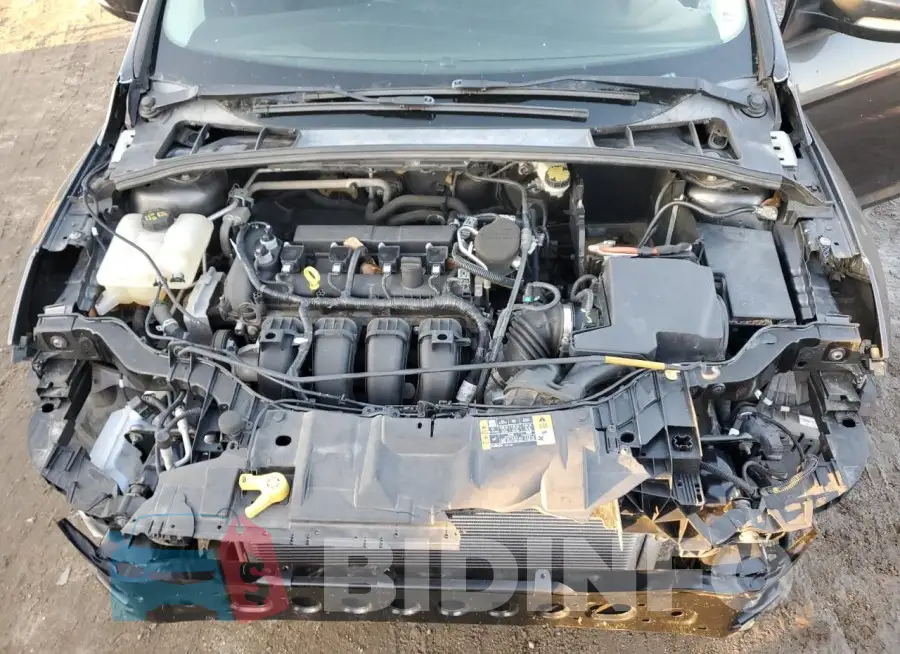1FADP3F21GL201265 Photo# 11
