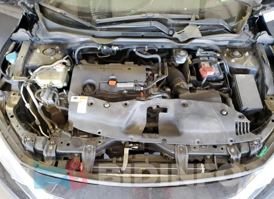 19XFC2F77HE206016 Photo# 11
