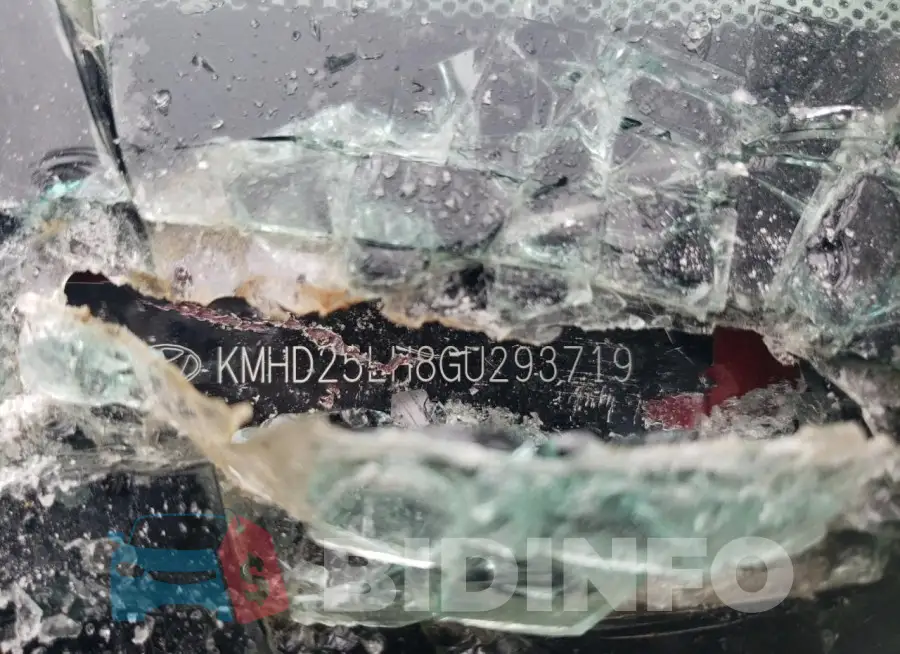 KMHD25LH8GU293719 Photo# 12