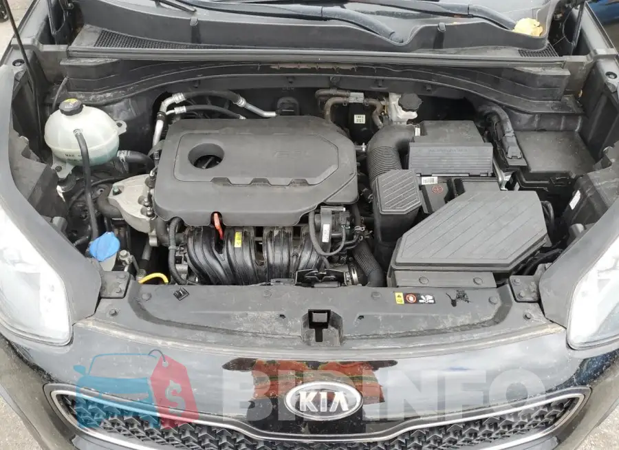 KNDPM3AC9K7525274 Photo# 12