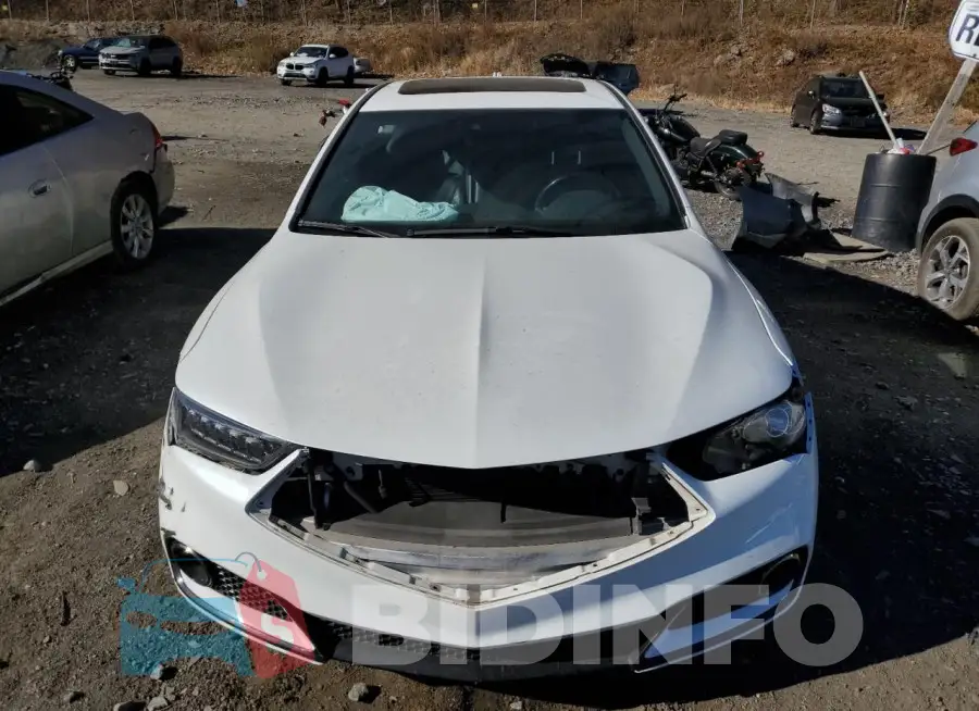 19UUB2F66KA008024 Photo# 5