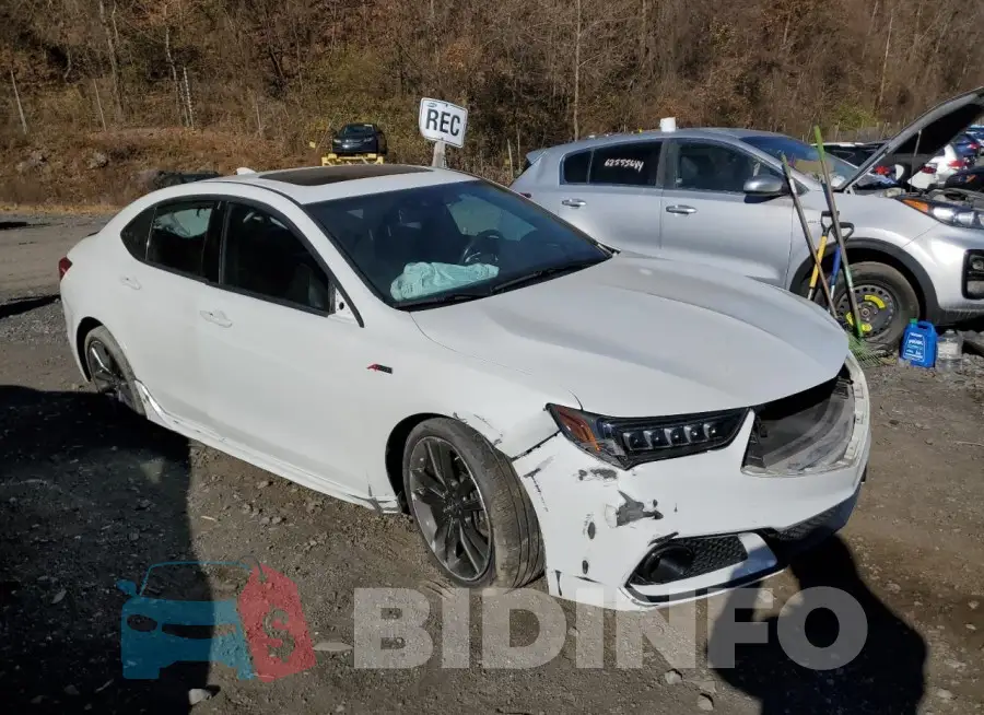 19UUB2F66KA008024 Photo# 4