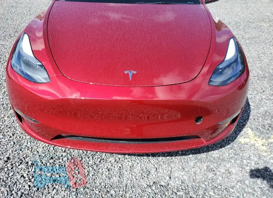 7SAYGDEE2RA239719 Photo# 12