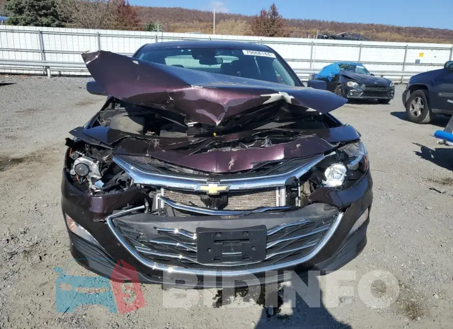 1G1ZD5ST4MF049262 Photo# 5