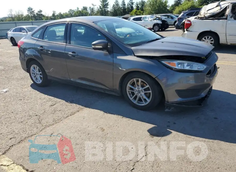 1FADP3F24FL329272 Photo# 4