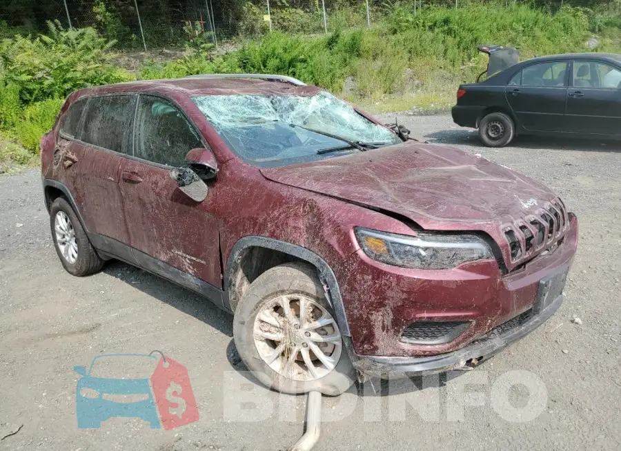 1C4PJMCB8MD153191 Photo# 4