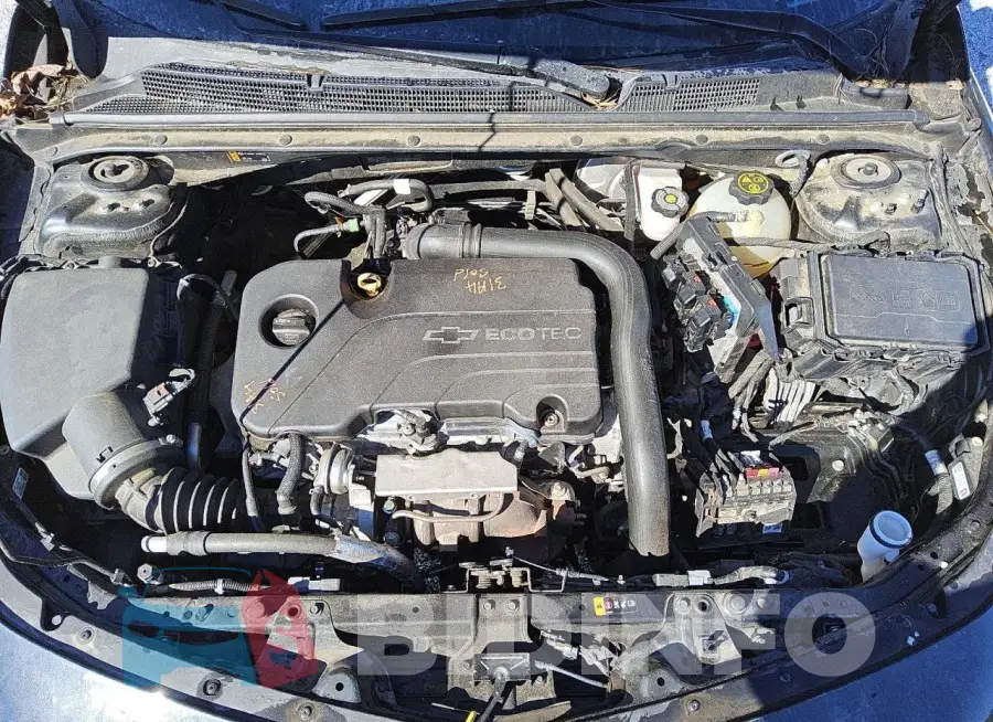 1G1ZD5STXMF065238 Photo# 11