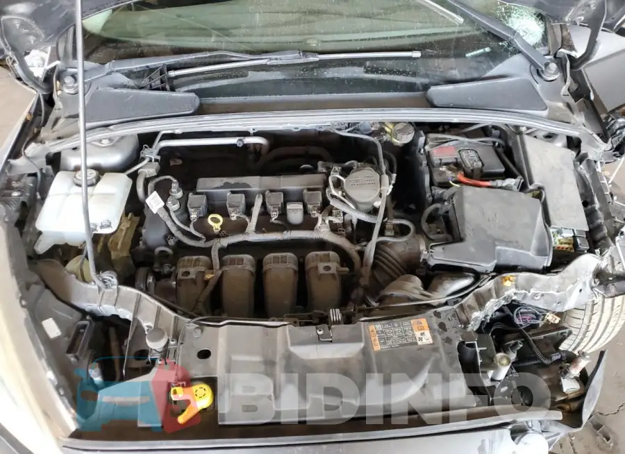1FADP3F25FL384362 Photo# 11
