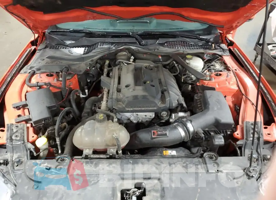 1FATP8UH7G5312438 Photo# 11