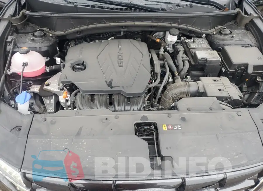 5NMJACDE6RH380385 Photo# 12