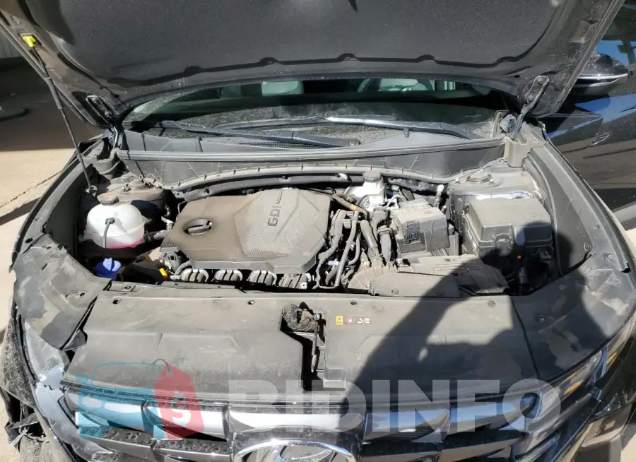 5NMJFCDE2RH310562 Photo# 11