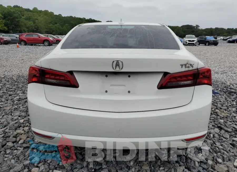 19UUB1F37FA000150 Photo# 6