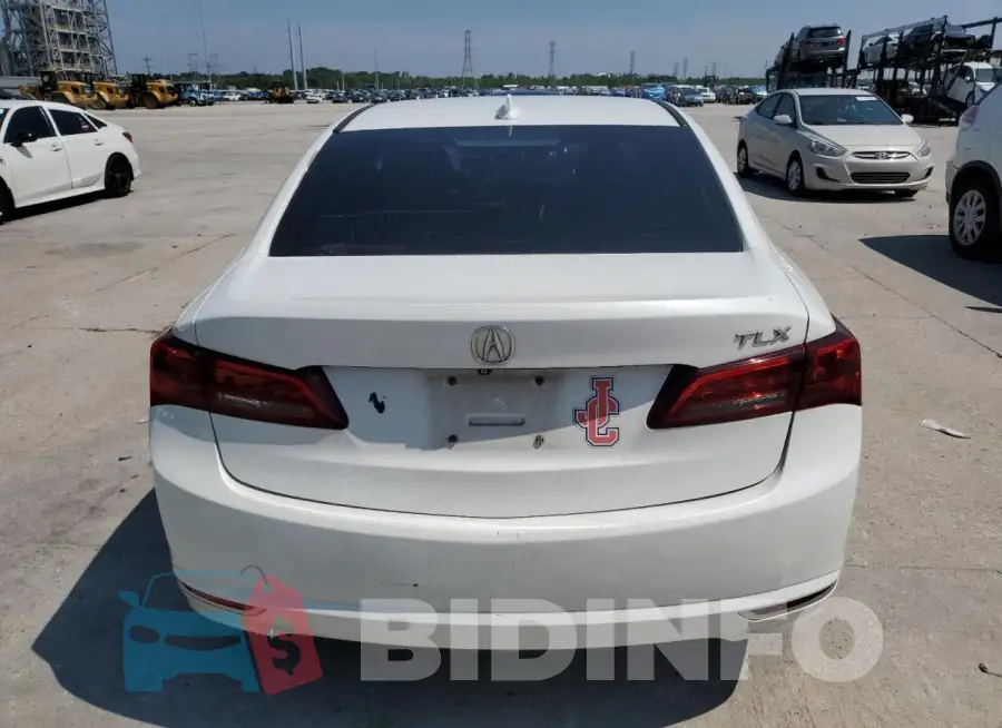 19UUB2F56FA021286 Photo# 6